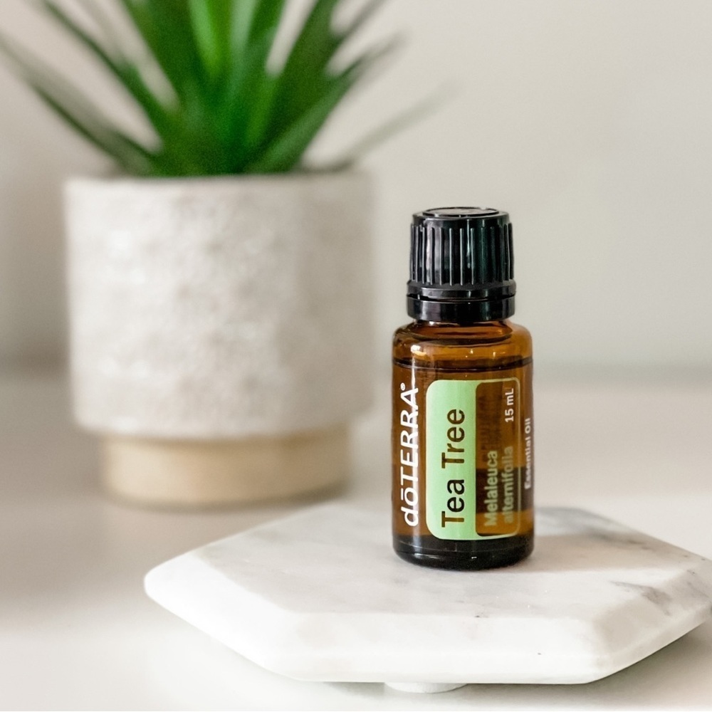 Tea Tree Essential Oil
